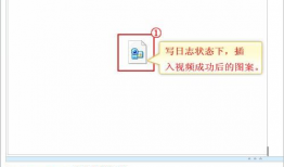 视频日志,揭秘日常生活的精彩瞬间