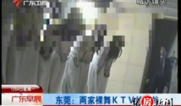 裸乳视频,一场视觉与心理的冲击之旅